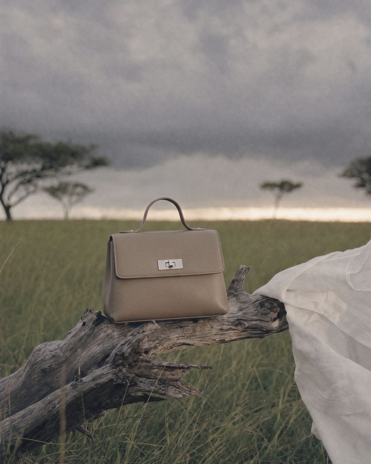 The Brise in Taupe on an acacia branch in the savanna